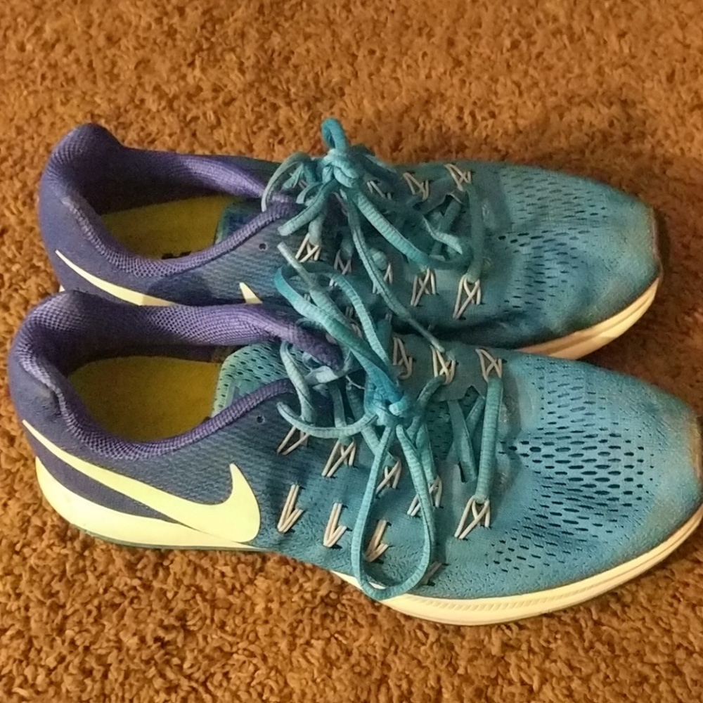 Nike Zoom Pegasus 33